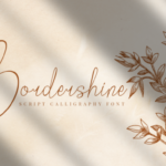 Bordershine Font Poster 1