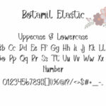 Botamil Elastic Font Poster 5