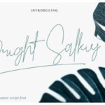 Bright Salkiy Font Poster 1