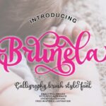 Brunela Font Poster 2