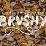 Brushy Font Poster 1