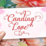 Canding Love Font Poster 1