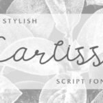 Carllis Font Poster 1