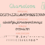 Chameleon Font Poster 3