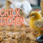 Chick Kitchen Font Poster 1