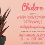 Chidera Font Poster 9