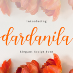 Dardanila Font Poster 8