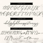 Dellaine Font Poster 5