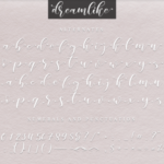 Dreamlike Script Font Poster 4