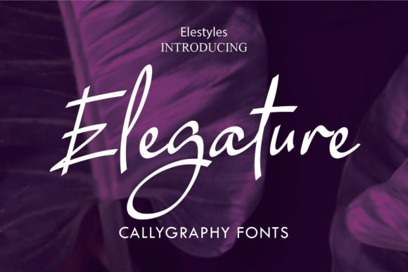 Elegature Font Poster 1