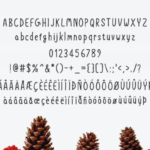 Epic Christmas Font Poster 4