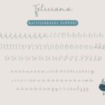 Feliciana Font Poster 7