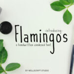 Flamingos Font Poster 1