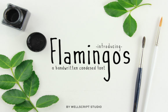 Flamingos Font Poster 1