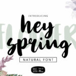 Hey Spring Font Poster 1