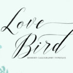 Love Bird Font Poster 1