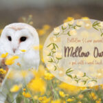 Mellow Owl Font Poster 1