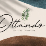 Orlando Font Poster 7