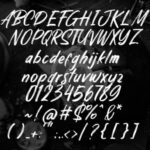 Quizine Font Poster 5