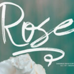 Rose Font Poster 1