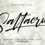 Saltacrus Font Poster 1