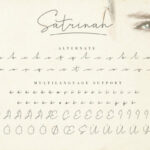 Satrinah Font Poster 10