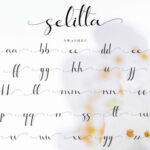 Selitta Font Poster 11