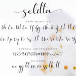 Selitta Font Poster 10