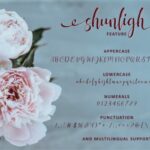 Shunligh Font Poster 5