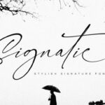 Signatie Font Poster 1