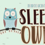 Sleep Owl Font Poster 1