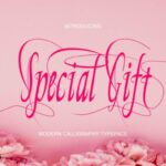 Special Gift Font Poster 1