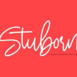 Stuborn Font Poster 1