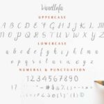 Vanellofa Font Poster 4