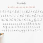 Vanellofa Font Poster 7