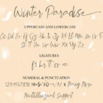 Winter Paradise Font Poster 12