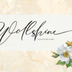 Wollshine Font Poster 1