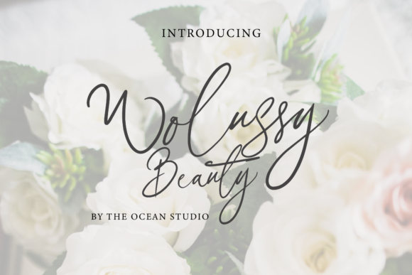 Wolussy Beauty Font Poster 1