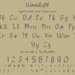 Wooslight Font Poster 6