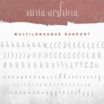 Xenia Urshina Font Poster 8