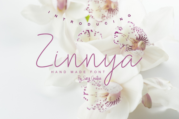 Zinnya Font