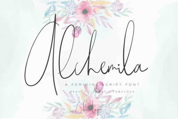 Alchemila Font