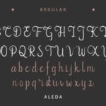 Aleda Font Poster 4