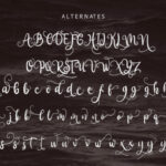 Aliandra Font Poster 7