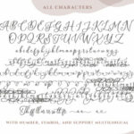 Amerta Misty Script Font Poster 9