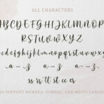 Anjani Script Font Poster 4