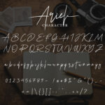 Arial Font Poster 10