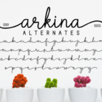 Arkina Duo Font Poster 8