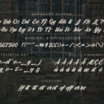 Arlen Script Font Poster 2