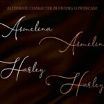 Asmelina Harley Font Poster 8